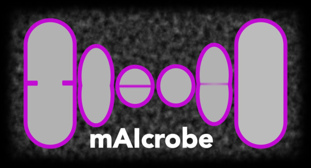 mAIcrobe
